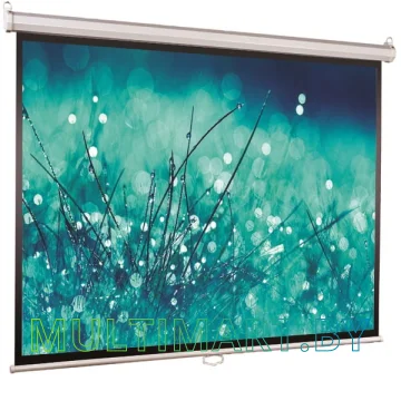 Проекционный экран ViewScreen Scroll 244х183 (WSC-4303)